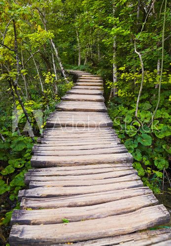 Pathway in Plitvice lakes park at Croatia  Schody Fototapeta