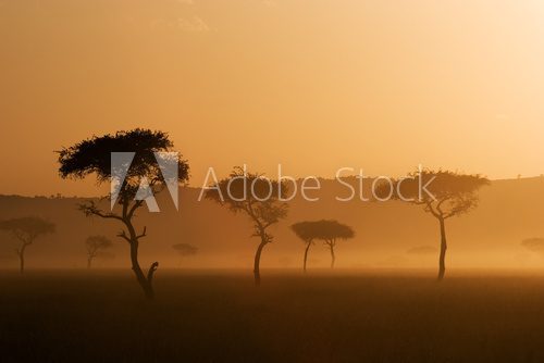 Poranek u Masajów
 Krajobraz Fototapeta
