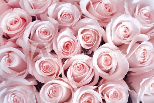 Poranna rosa i woda różana – klasyczne piękno kwiatów
 Obrazy do Łazienki Obraz