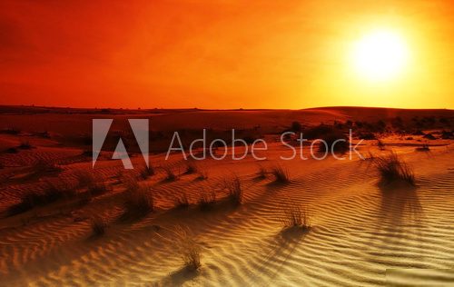Pustynia w ekstremalnych kolorach
 Krajobraz Fototapeta