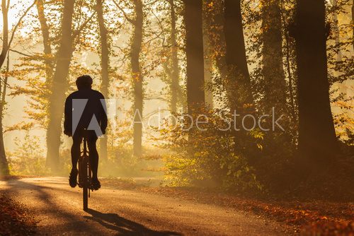 Rowerowa podróż w jesiennym blasku Sport Fototapeta