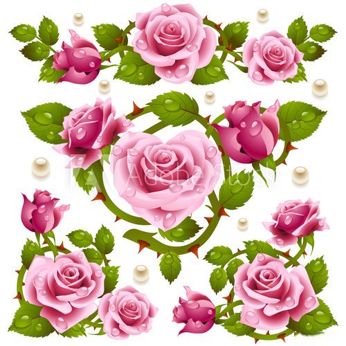 Róże w kroplach deszczu- magia różu
 Rysunki kwiatów Fototapeta