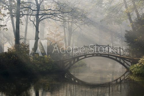Rustykalny w parkowej mgle
 Fototapety Mosty Fototapeta