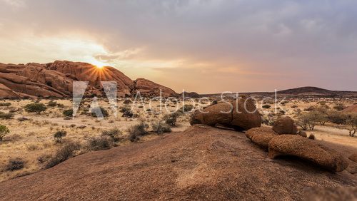 Słoneczna sawanna w Namibii  Afryka Fototapeta