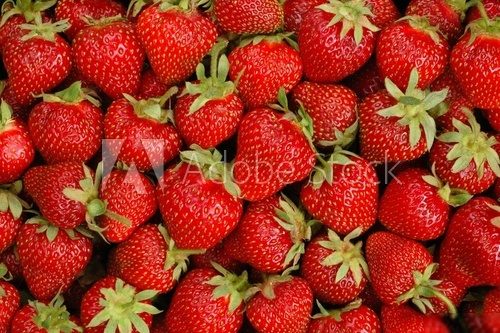 Strawberry fields – na zawsze truskawki
 Obrazy do Jadalni Obraz