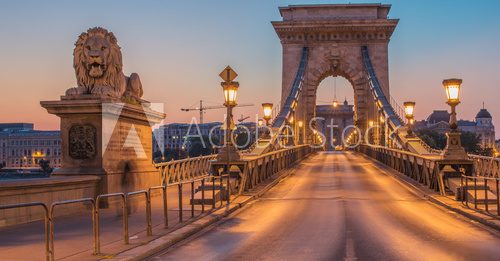 Strażnicy mostu. Budapeszt. Fototapety Mosty Fototapeta