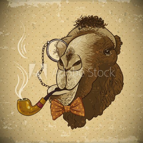 Stylowy wielbłąd z fajką i monoklem w retro ilustracji Fototapety Graffiti Fototapeta