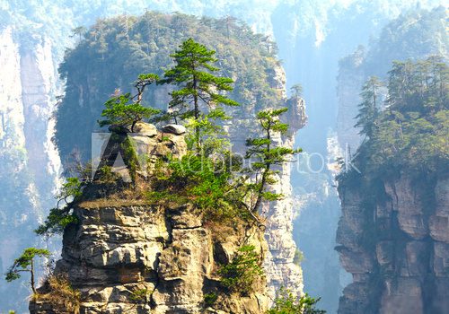 Tajemnicze góry Zhangjiajie – natura w chmurach Fototapety Góry Fototapeta