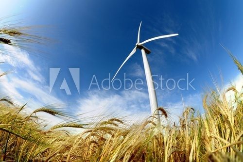 Turbiny – potęga wiatru, siła natury
 Krajobrazy Obraz
