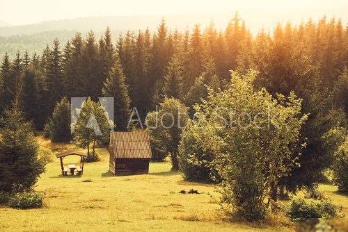 Urokliwa polana z drewnianą chatką Krajobraz Fototapeta