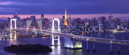 view of Tokyo Bay , Rainbow bridge and Tokyo Tower landmark Mosty Obraz