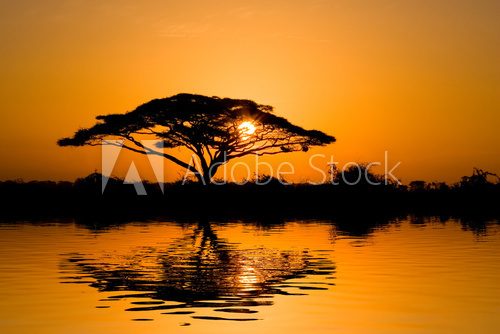 Wieczorna Afryka – malownicza sawanna
 Krajobrazy Obraz
