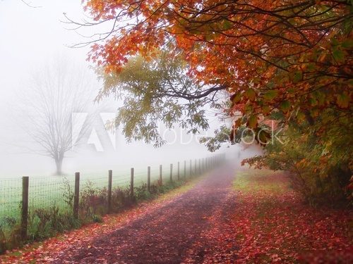 Wszystkie kolory jesieni
 Krajobraz Fototapeta