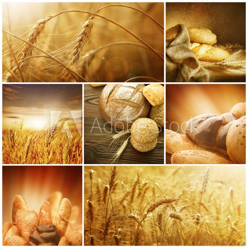 Ziarna zbóż – sielski collage
 Obrazy do Kuchni  Obraz