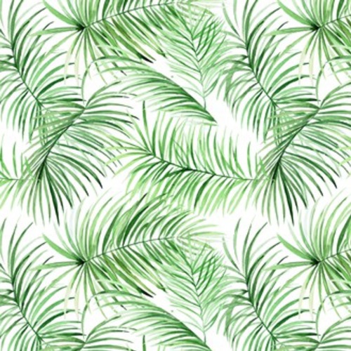 Akwarela liści palmowych. Tropikalny pakunek dla Tapety Natura Tapeta
