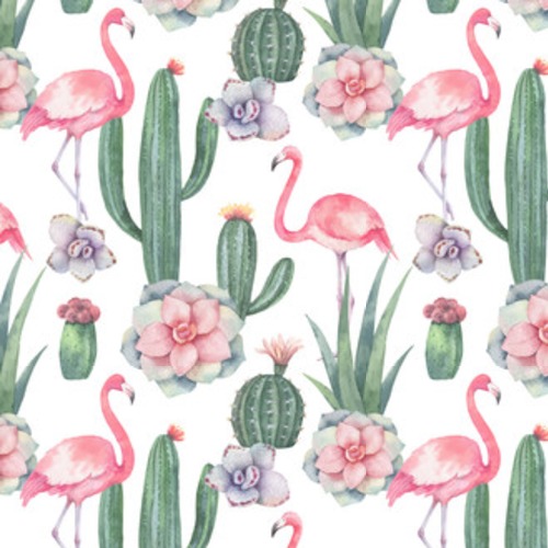 Akwarela różowego flaminga, kaktusów i sukulentów Tapety Zwierzęta Tapeta