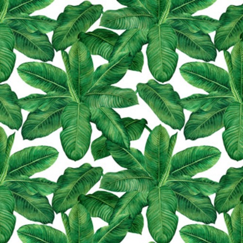 Akwarele ręcznie rysowane ilustracje tropikalne Tapety Natura Tapeta