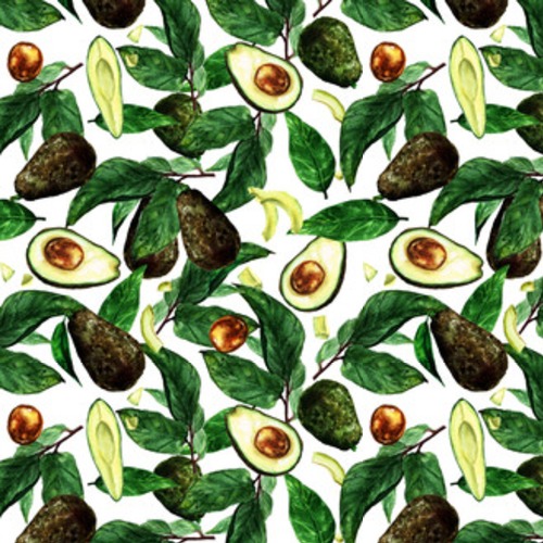 Awokado . Akwarela Ilustracja Tapety Owoce i Warzywa Tapeta