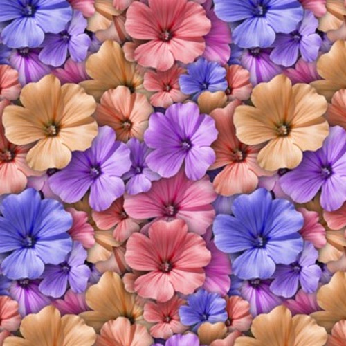 Kolorowy z kwiatem bodziszka. . Tapety Kwiaty Tapeta