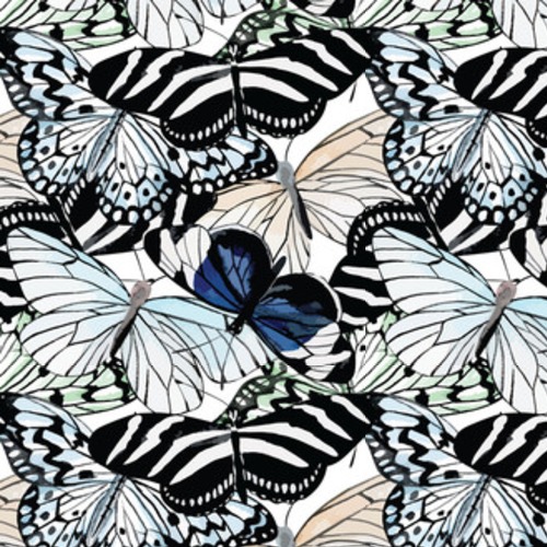 motyle czarno-białe akwarela Tapety Zwierzęta Tapeta
