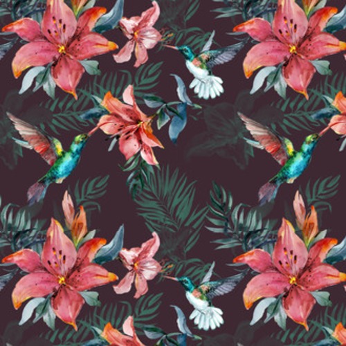 Piękne kolorowe latające kolibry i czerwone kwiaty Tapety Kwiaty Tapeta