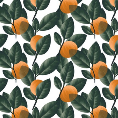 , pomarańczowy owoc z zielonymi liśćmi na gałęzi na Tapety Do kuchni Tapeta