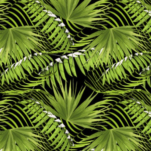 Rajskie lato z tropikalnym liściem palmowym Tapety Natura Tapeta