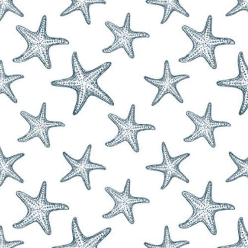 rozgwiazda na białym, ilustracja kreskówka lato na Tapety Do łazienki Tapeta