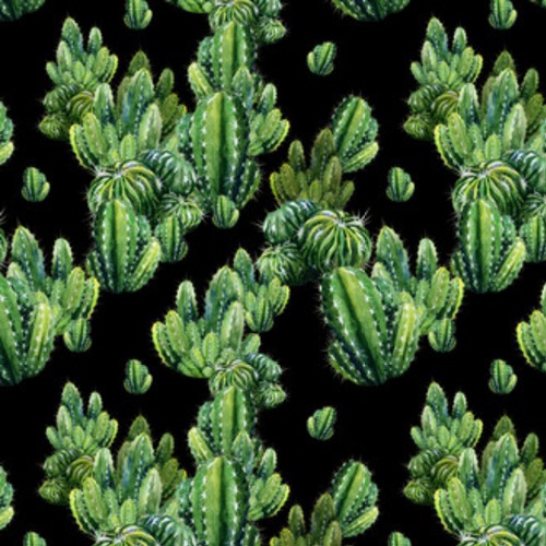 z akwarelą kaktusów. Ilustracja kaktusa może być Tapety Natura Tapeta