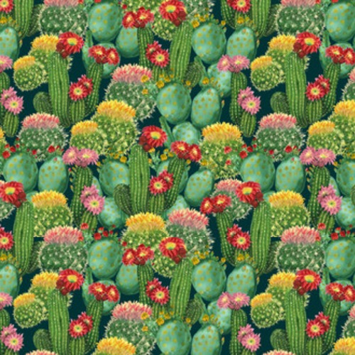 z kwitnącymi kaktusami Tapety Natura Tapeta