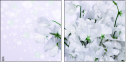 100410214