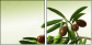 11107716
