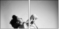 11330269