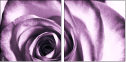 11865044