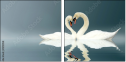 12112158
