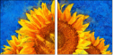 121341764