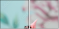 12612957