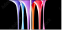 136845310