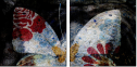 139107091