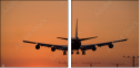 1443651