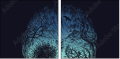 164648563