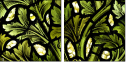 16903361