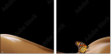 17227312