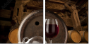 21442815