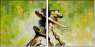 21588085