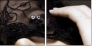21991281