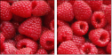 22816665