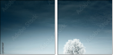 23439667
