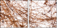 23639472