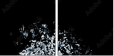 24792295